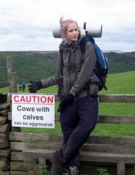 AGGRESSIVE COWs