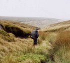 BOG