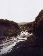 BOG DITCH